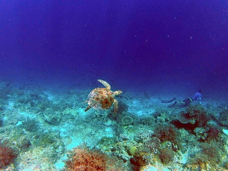 Nini'S Beach Bungalows Bira Εξωτερικό φωτογραφία